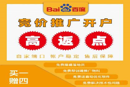 百度SEO推广成功案例：品牌知名度提升